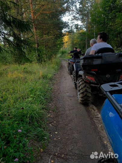 Прокат аренда квадроциклов