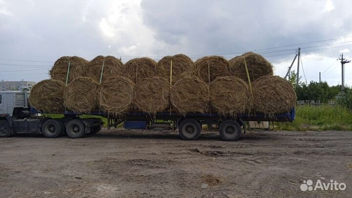 Сено в тюках, рулонах