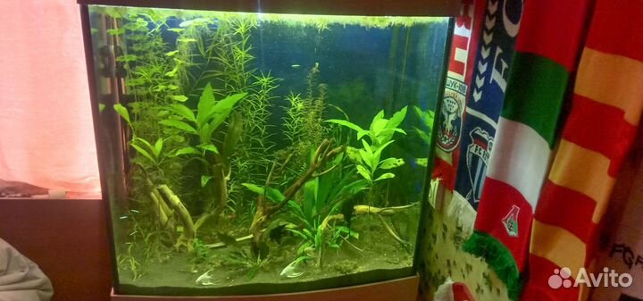 Аквариум с тумбой 270 литров
