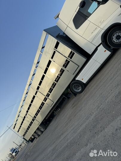 Перевозка Скотовоз 17 метров мрс,крс,Лошадей