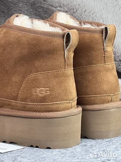 Ugg Neumel Platform Chestnut