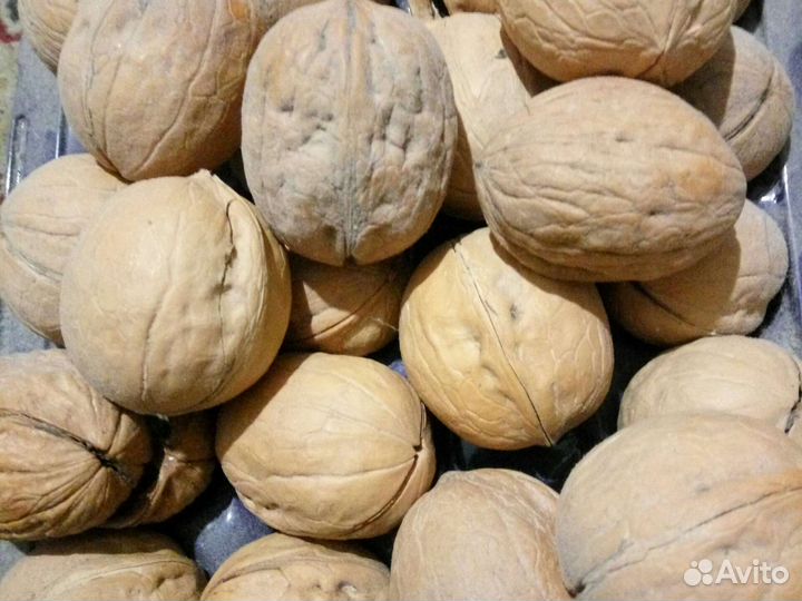 Гирлянда из скорлупы