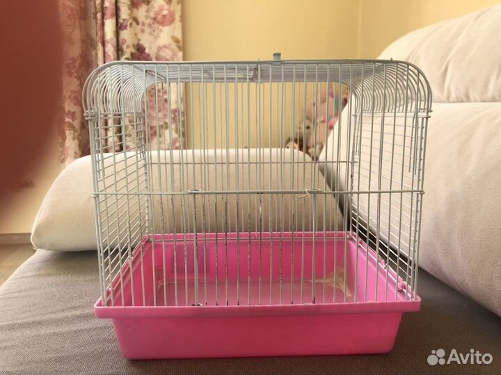 Клетка для джунгарского хомяка, б/у