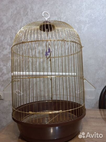 Клетка для попугая корелла и волнистиков