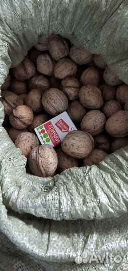 Продам грецкий орех