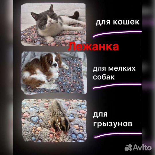 Набор для братьев наших меньших (щенки/котята)