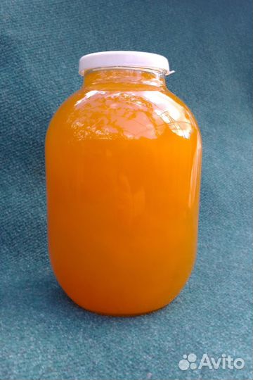 Мед подсолнечный 2023