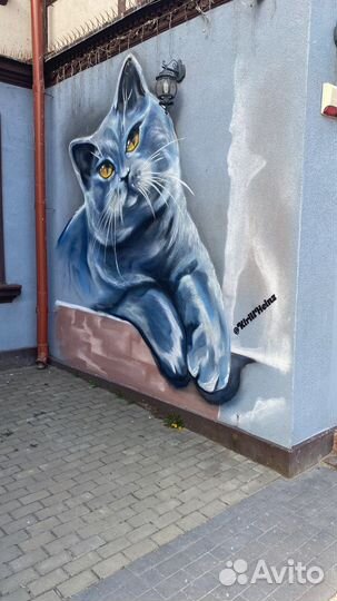 Котломойщица в столовую