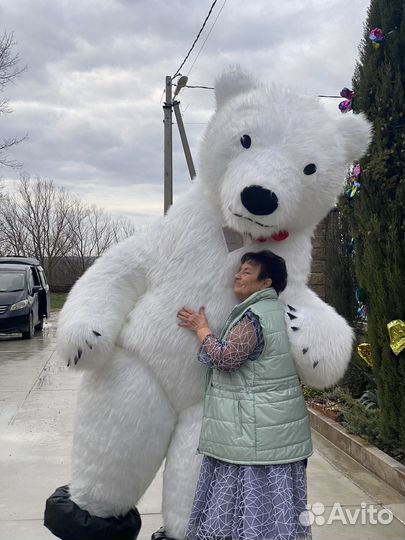 Аниматор /Поздравление от белого мишки и панды