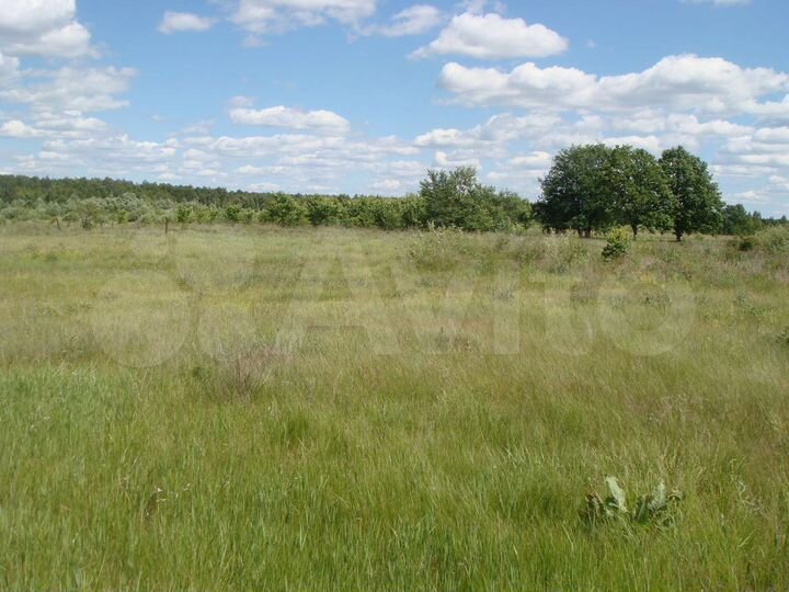 Участок 15 сот. (ИЖС)