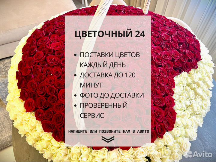 Радужные гипсофилы