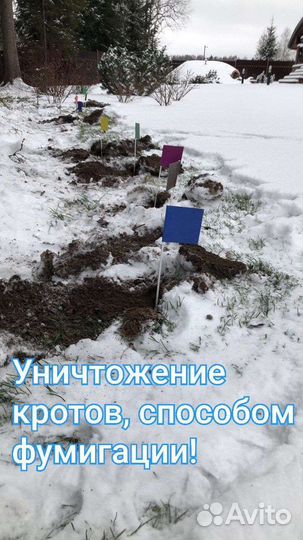 Травить тараканов, уничтожение клопов, дезинсекция