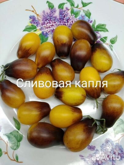 Томаты черри (50 сортов)