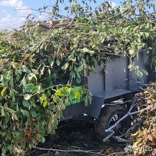 Вывоз мусора, спил деревьев, расчистка участка