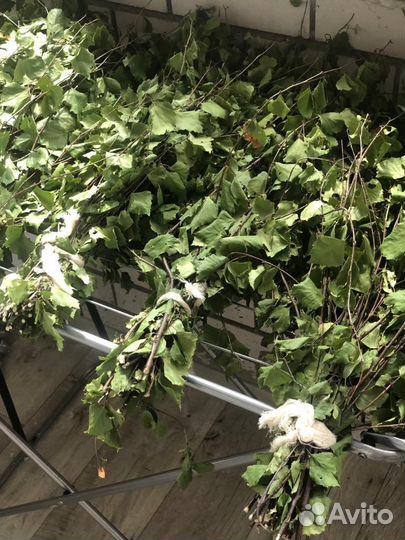 Веники для бани из берёзы