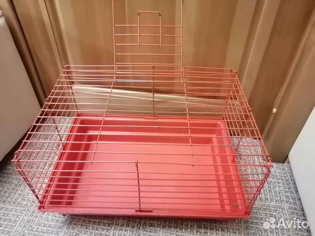Клетка для морской свинки