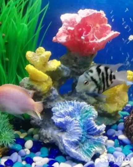 Декор для аквариума