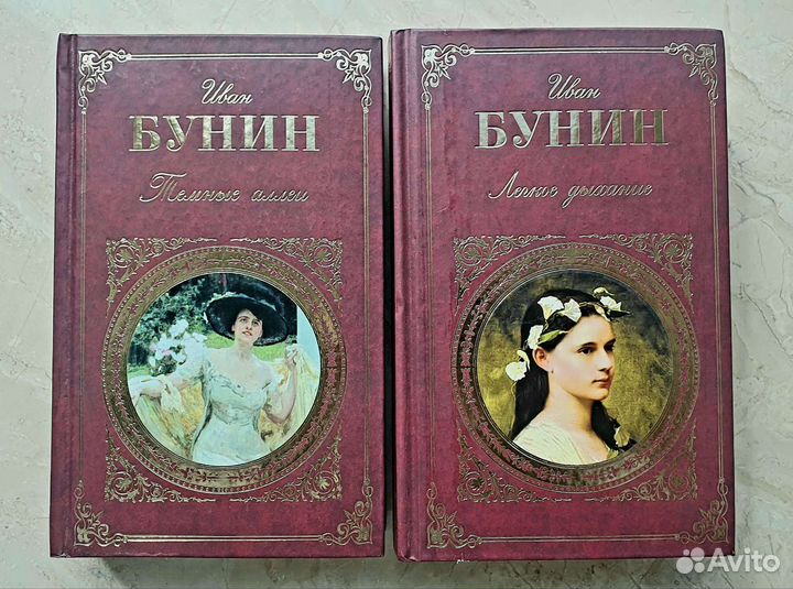 Бунин книги повести рассказы