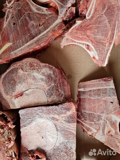 Мясо для собак