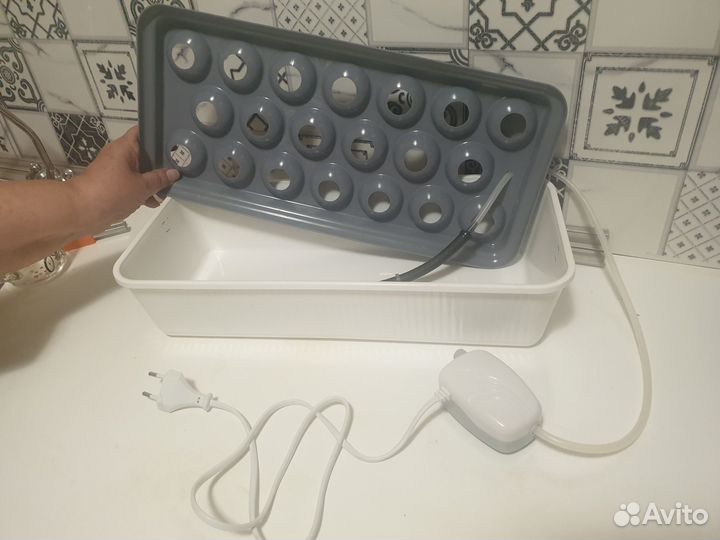 Гидропонная установка для выращивания лука на перо