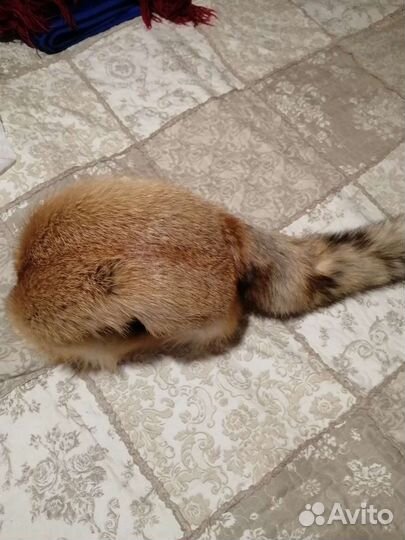 Шапка лисья натуральная с хвостом