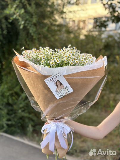 Ромашки Цветы Букет из ромашек Доставка