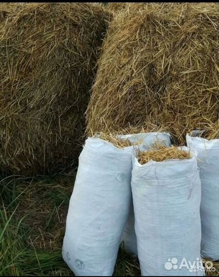 Солома в мешках