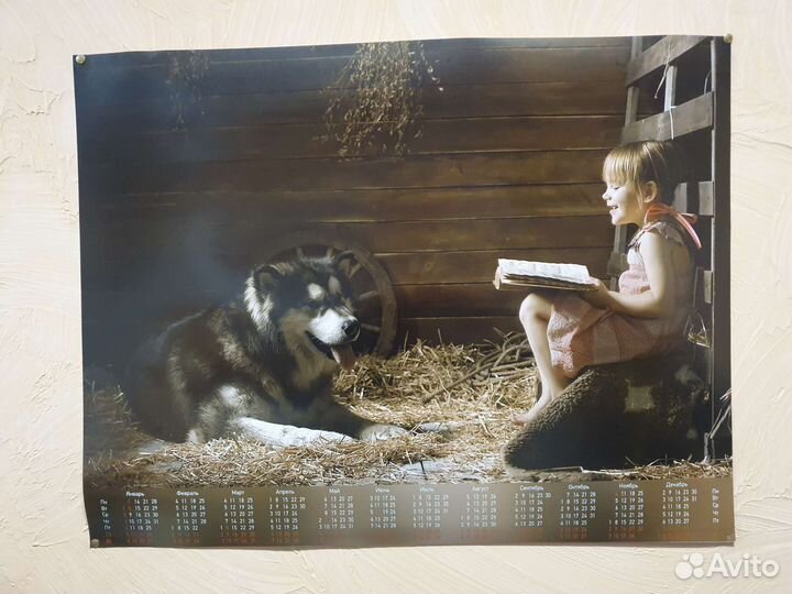 Широкоформатные сканы и печать на плоттере, лекала