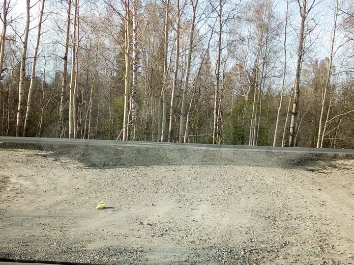 Участок 5,1 га (СНТ, ДНП)