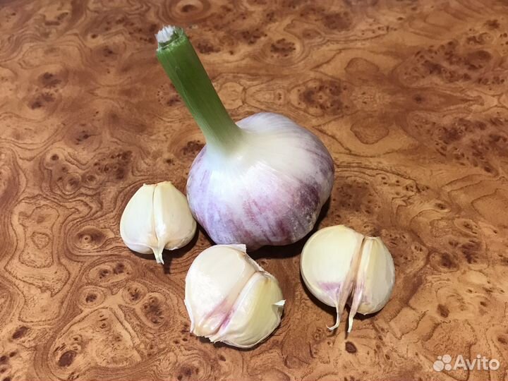 Корень хрена, чеснок