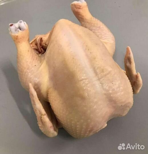 Мясо домашней птицы