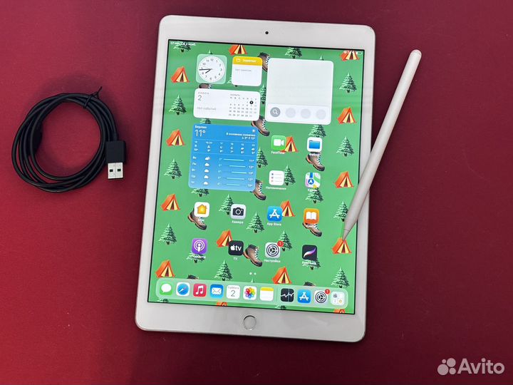 iPad 10.2 + Стилус + Procreate