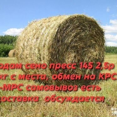 Продам сено в тюках