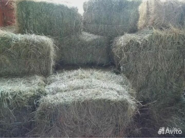 Сено в рулонах