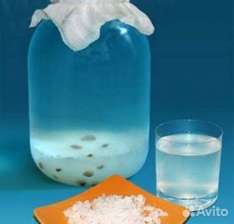 Индийский морской рис, самовывоз, цена за 1 ст.л