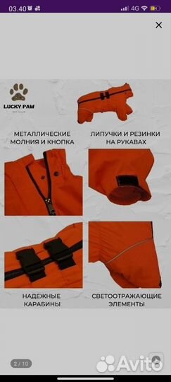 Комбинезон дождевик для собак Lucky Paw