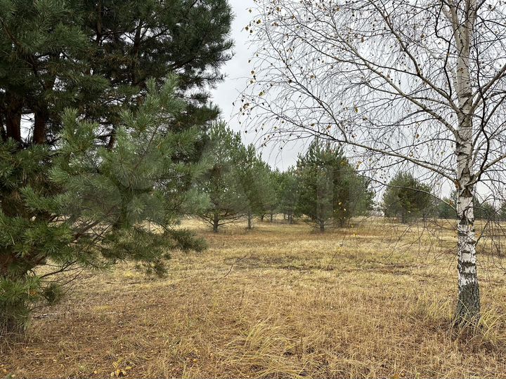 Участок 11 сот. (ИЖС)