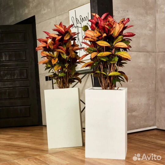 Кашпо High Rectangle / вазон