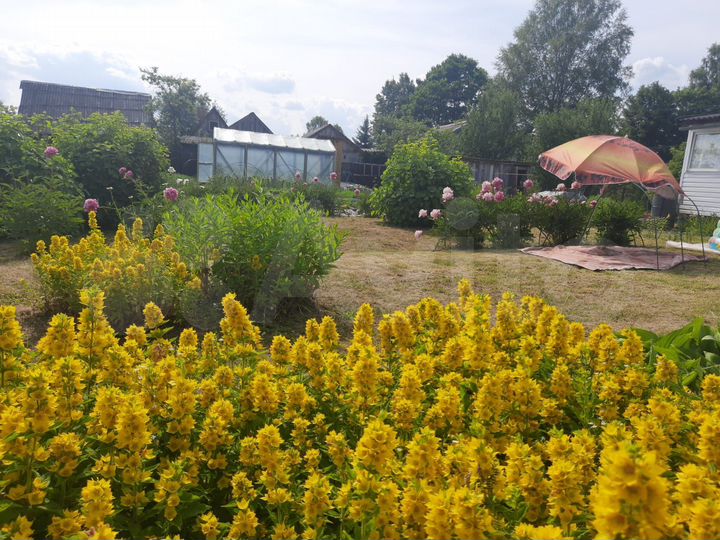 Дом 60,4 м² на участке 24 сот.