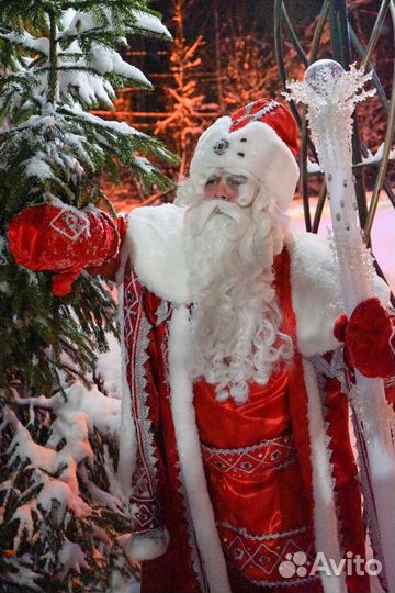 Настоящий VIP Дед Мороз и снегурочка