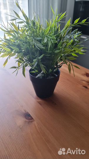 Фейка IKEA цветок