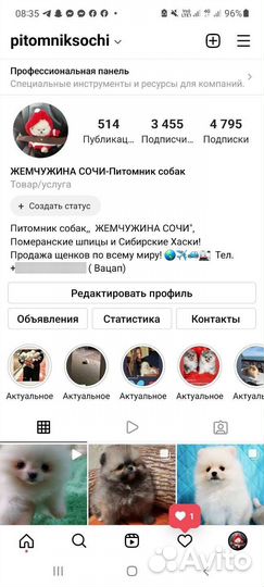Кукольный мини мальчик -померанчик