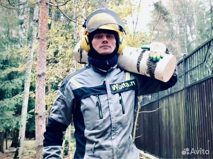 Удаление спил деревьев Расчистка участка Одинцово