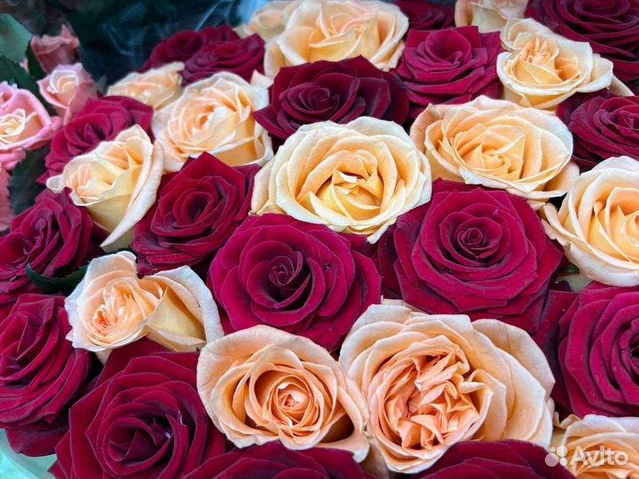 Цветы розы букет