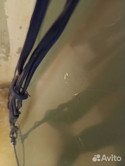 Зеркало СССР