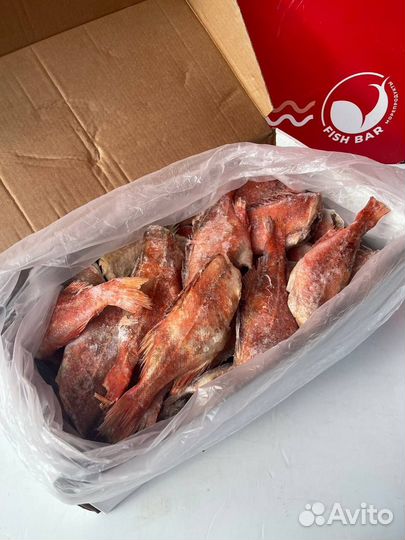 Морской окунь