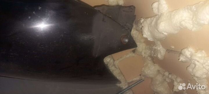 Передние крылья