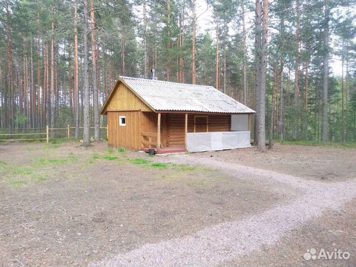 Отдых в Карелии. Рыбалка