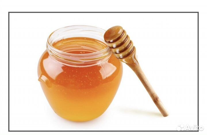 Пчелы бакфаст