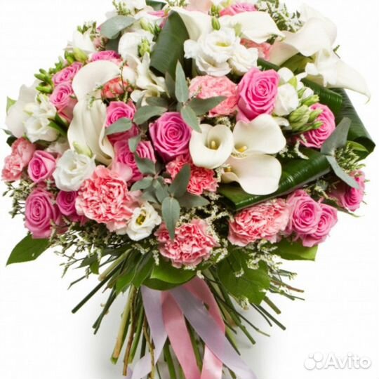 Роза 25 Роза 31 Роза 51 ароматная Роза